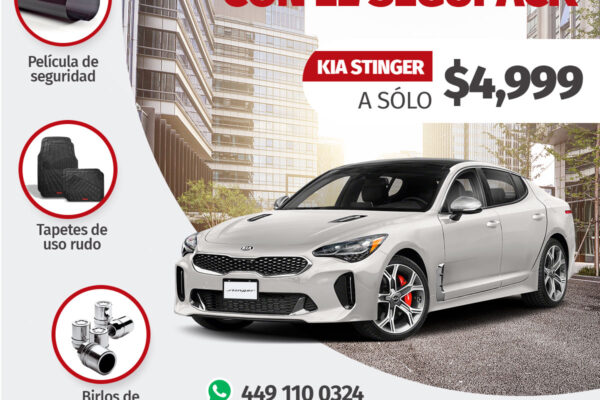 kia_segupack_STENGER